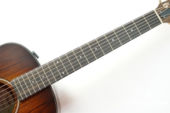 GS Mini-e KOA Plus